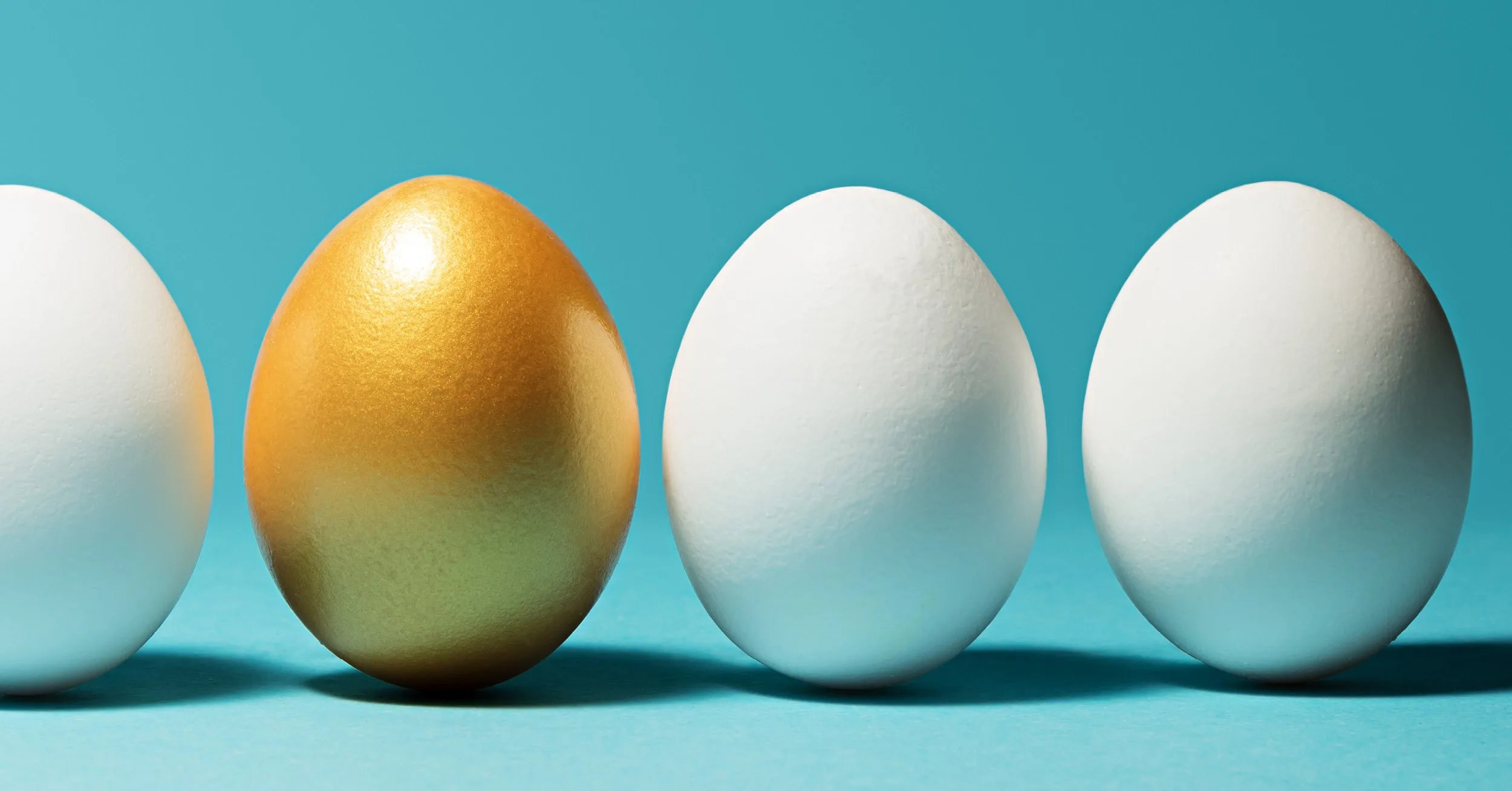 Supporting Your Customers Through COVID-19 – Sabrina DeVito – Chief Strategy Officer of Marlette Funding (Best Egg Personal Loans)