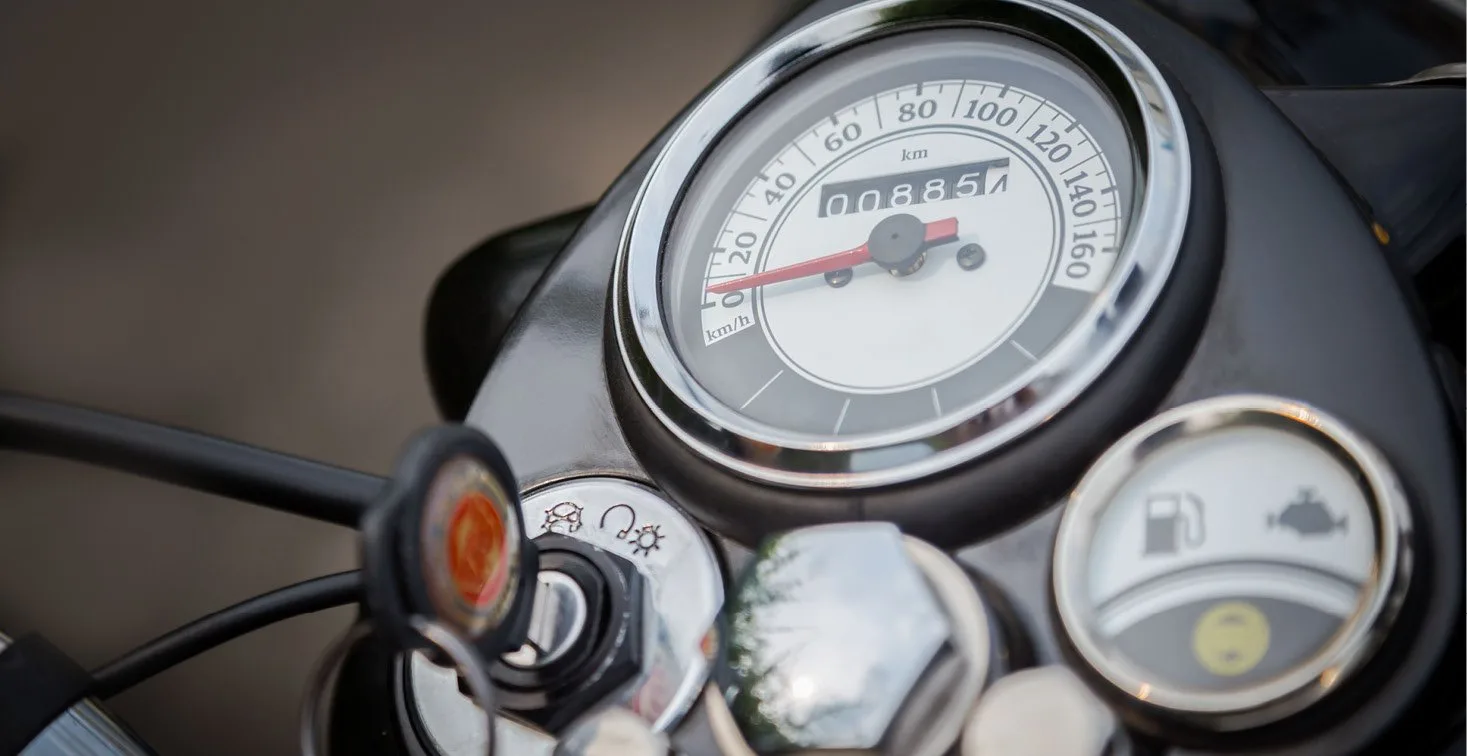 How Company Purpose Drives Performance