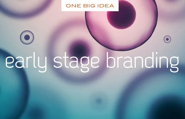 One Big Idea: Early Stage Branding